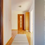 Strefa Relaksu 5 *